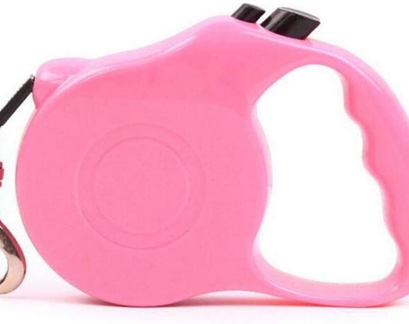 Auto Retractable Dog Leash Explore Training Lead - 10 Ft/16.14Ft Pet Dog Walking Running Rope