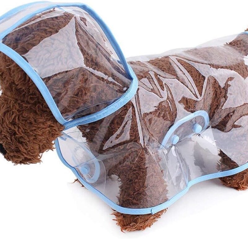 Pet Raincoat,Small Dog Waterproof Puppy Raincoat Coat Transparent Pet Dog Rainwear Clothes for Small Dogs Cats (S, Blue)