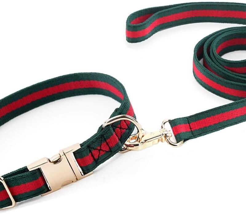 Premium Dog Collar, Cute Dog Collars Luxury Style, Durable Pet Collars and Dog Leash with Metal Buckle Safety for Puppy Small Dogs