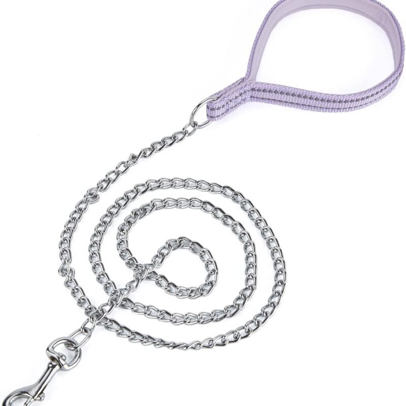 Chew Proof Metal Chain Leash,Nylon Handle with Soft Neoprene Padding and Reflective Stripe for Small Dogs.(S, Purple Handle)