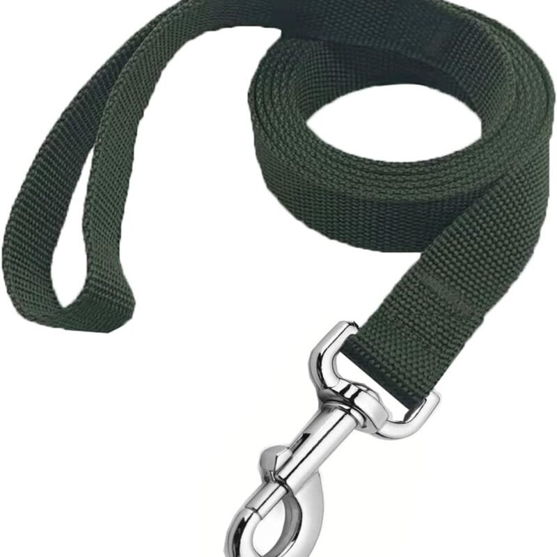 Strong Nylon Dog Leash,  Dog Leashes for Medium Large Dogs (6FT, Green)