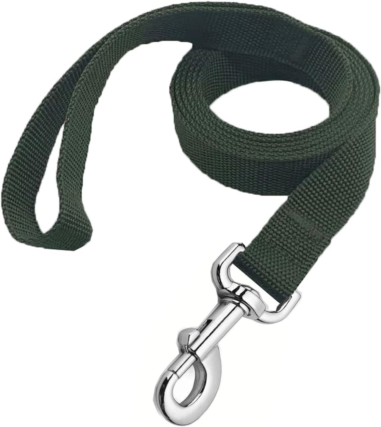 Strong Nylon Dog Leash, Dog Leashes for Medium Large Dogs (6FT, Green)