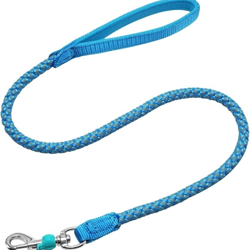 Reflective Dog Leash Strong Nylon Rope Braided Heavy Duty for Large and Medium Small Dogs Walking Training Leads (Sky Blue, 3ft * 1/2")