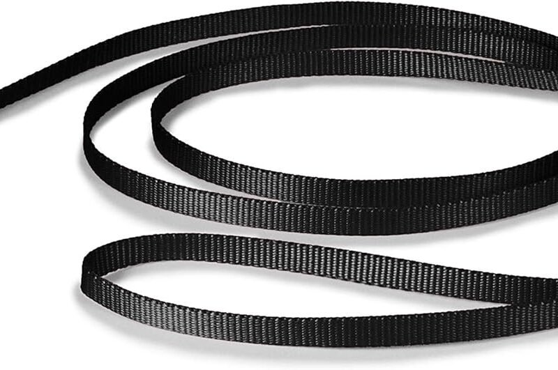 Nylon Leash - Chew-Resistant Cat & Dog Behavioral Training Leash - Compatible with  Harness - Traditional-Style Reliable Pet Lead with a Padded Hand Wrap - 3/8" x 6' - Black