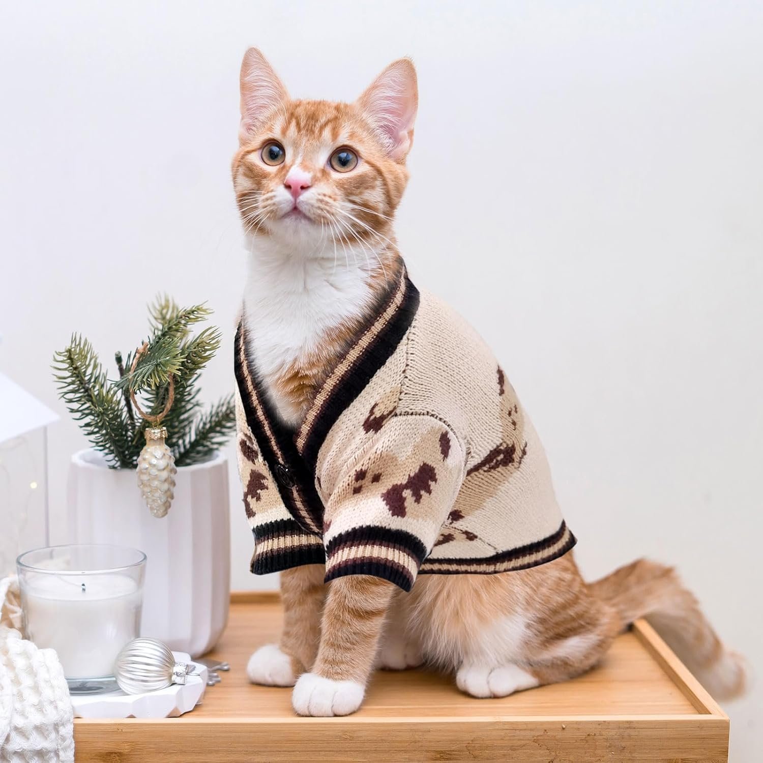 Small Dog Sweaters Cute Bear Dog Cardigans Clothes for Small Medium Dogs Boy Girl Puppy Cat Knitting Cardigan Outfits Dogs Winter Coats Warm Pet Doggy Clothes Soft Knitwear Apparel (Beige,XS) - Image 2