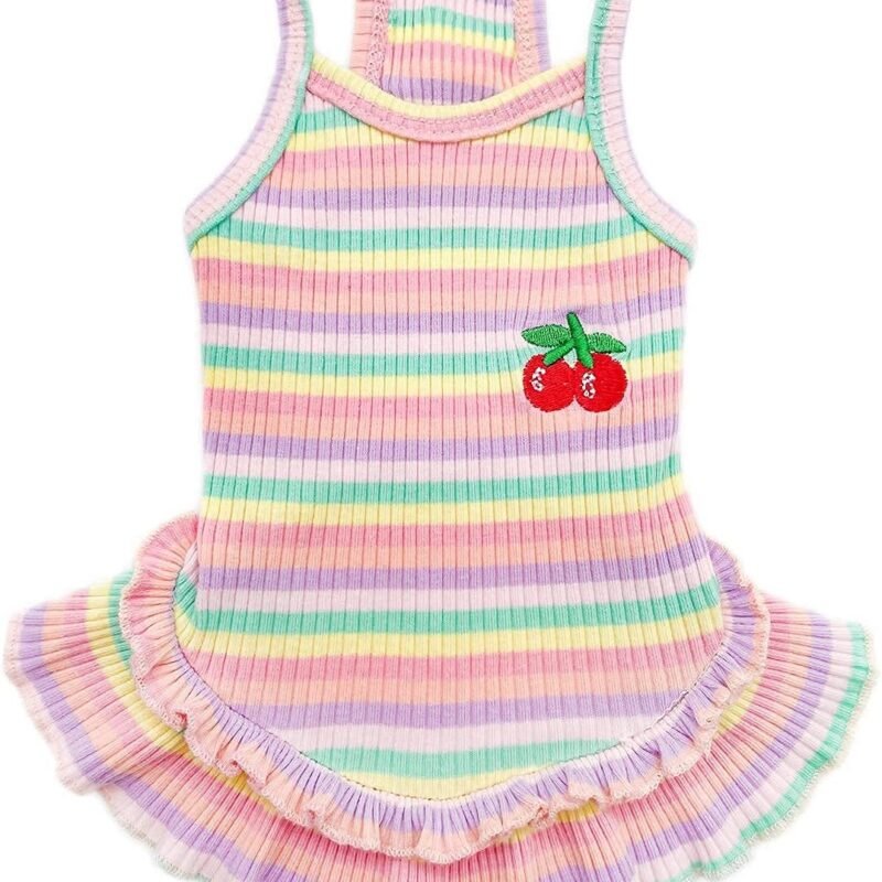 Cute Dog Dress for Small Dogs Girl Birthday Puppy Clothes Spring Summer Dog Outfits Rainbow Colorful Striped Cherry Princess Pet Tutu Skirt Doggie Cat Chihuahua Yorkies Dresses