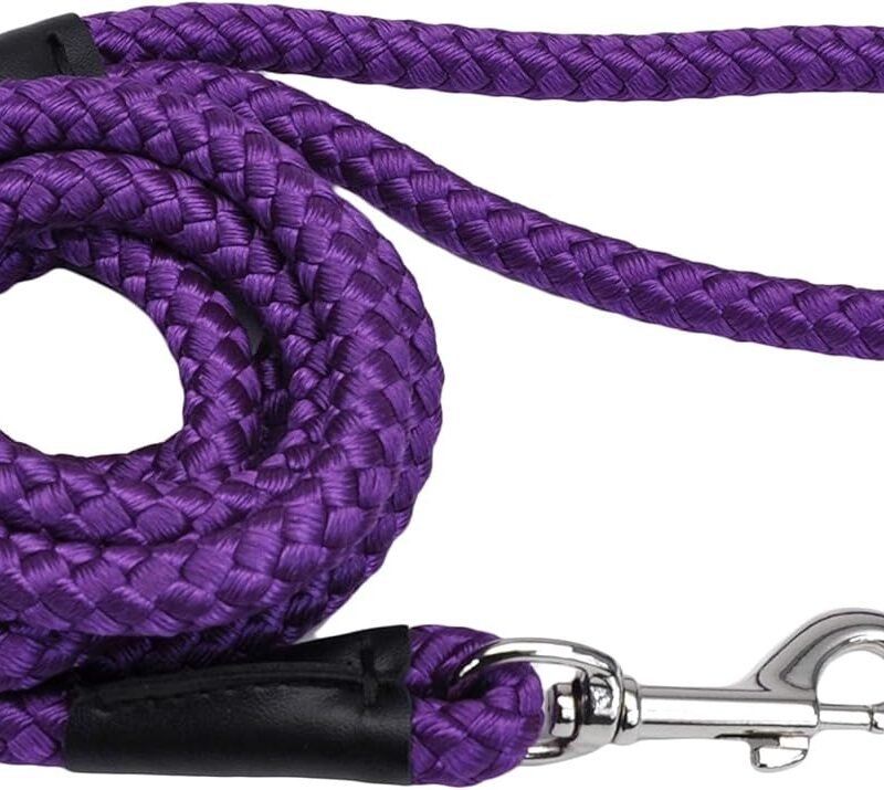 Pet Rope Dog Leash - Tangle-Free Walking - Soft-Braided Nylon - Fade-Resistant Colors with Snap Swivel Hook - Purple, 1/2" x 06'