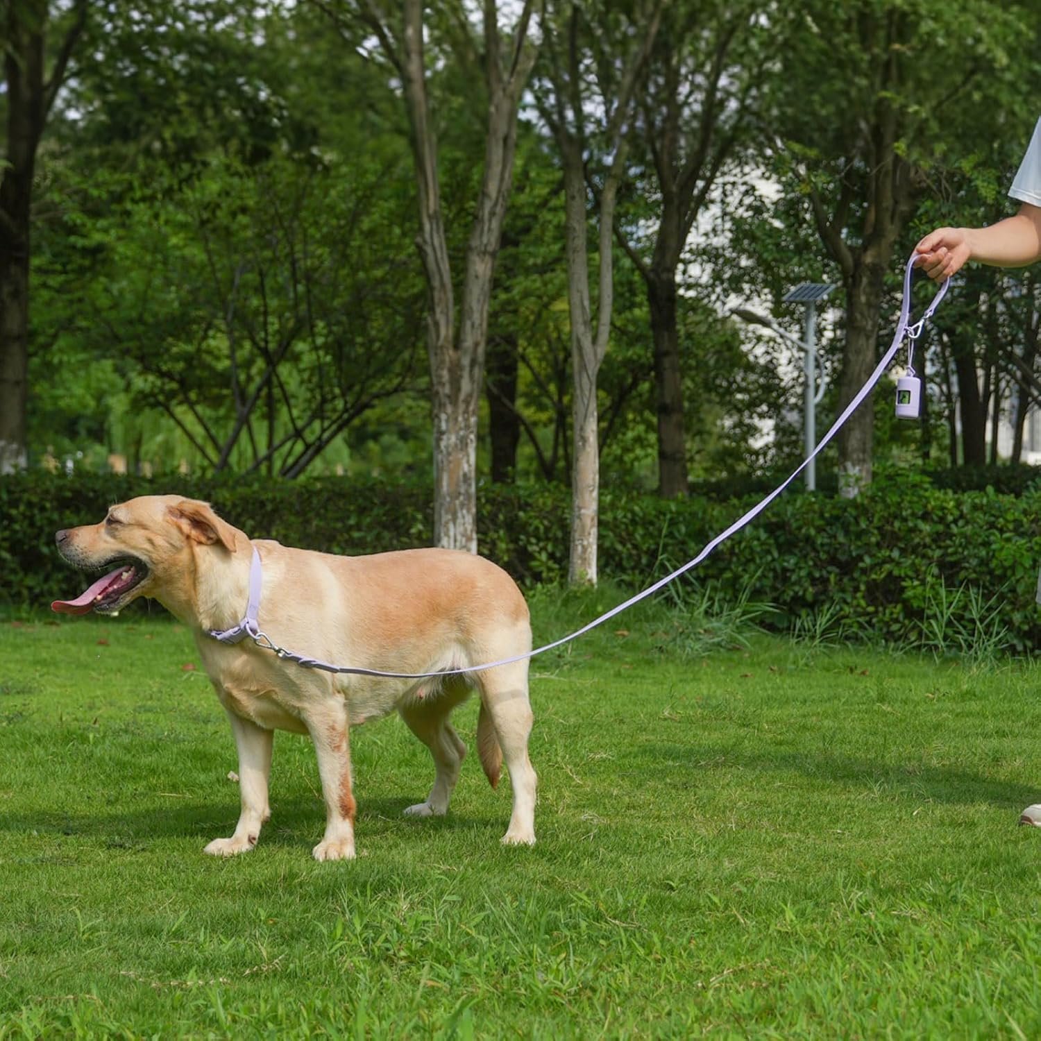 Waterproof Dog Leash with Poop Bag Holder, 5FT/6FT Adjustable Length with 2 Swivel Hooks, Odor-Free & Easy-Clean Dog Lead for Large Medium Small Dogs - Image 2