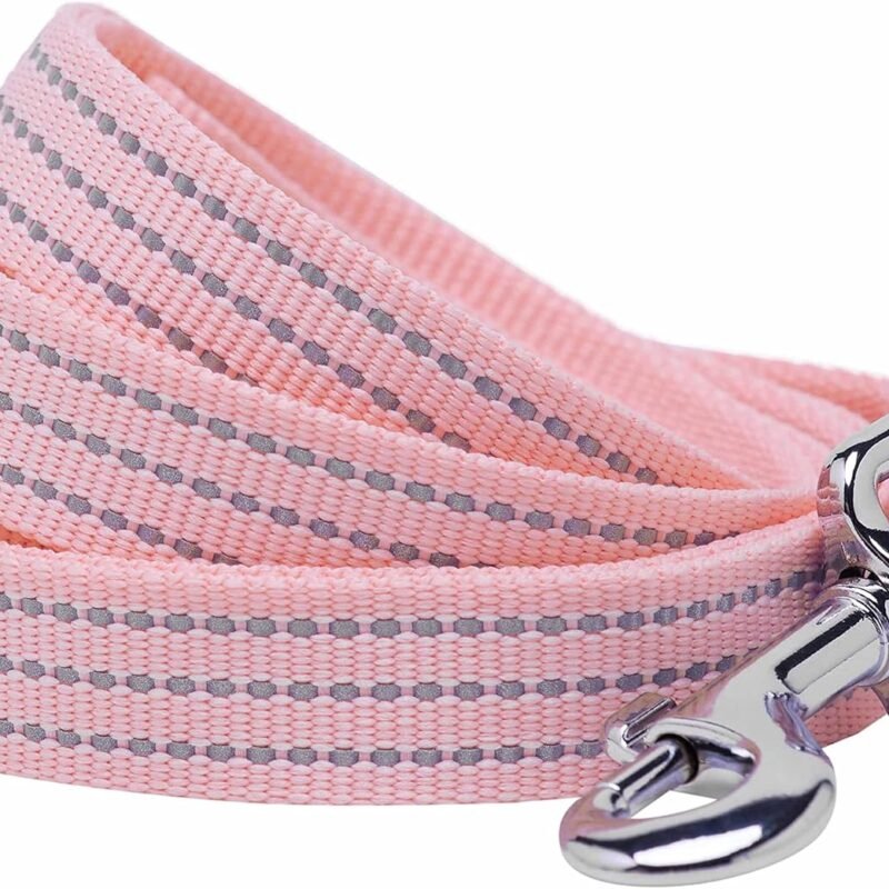 Reflective  Dog Leash, Candy Pink, 4 ft x 1", Large, Leashes for Dogs